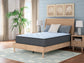 Destin Cove Plush Twin Mattress