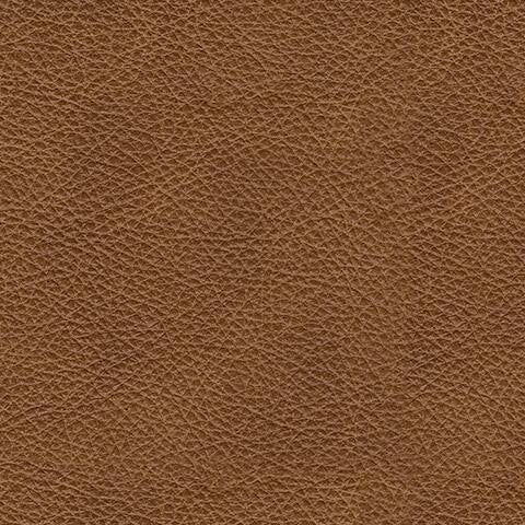 Carianna Queen Sofa Sleeper