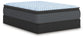 Destin Cove PT Queen Mattress